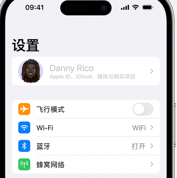 嘉积镇appleID维修服务iPhone设置中Apple ID显示为灰色无法使用 