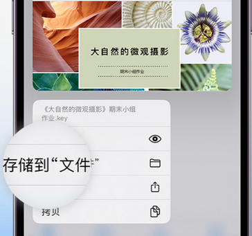 嘉积镇apple维修中心分享iPhone文件应用中存储和找到下载文件