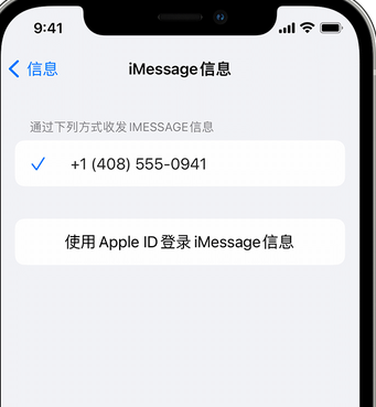 嘉积镇apple维修iPhone上无法正常发送iMessage信息 