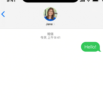 嘉积镇apple维修iPhone上无法正常发送iMessage信息