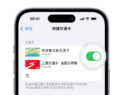 嘉积镇apple维修点分享iPhone上更换Apple Pay快捷交通卡手绘卡面 