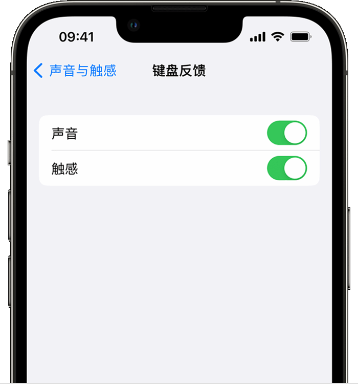 嘉积镇苹果14维修店分享如何在 iPhone 14 机型中使用触感键盘 