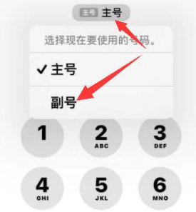 嘉积镇苹果14维修店分享iPhone 14 Pro Max使用副卡打电话的方法 