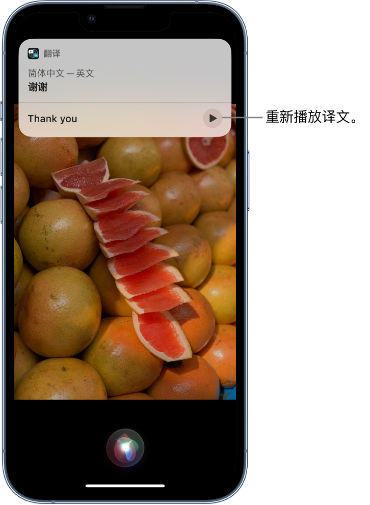 嘉积镇苹果14维修分享 iPhone 14 机型中使用 Siri：了解 Siri 能帮你做什么 