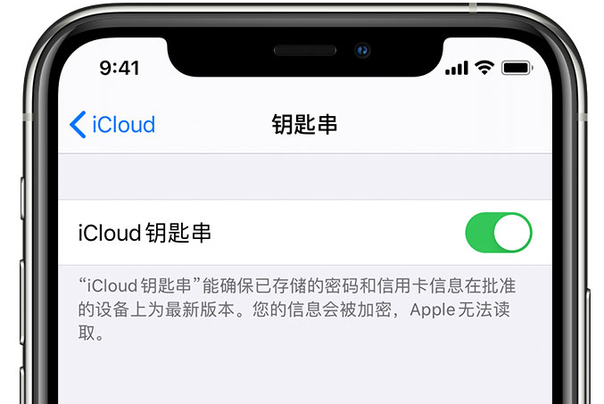 嘉积镇苹果手机维修分享在 iPhone 上开启 iCloud 钥匙串之后会储存哪些信息 