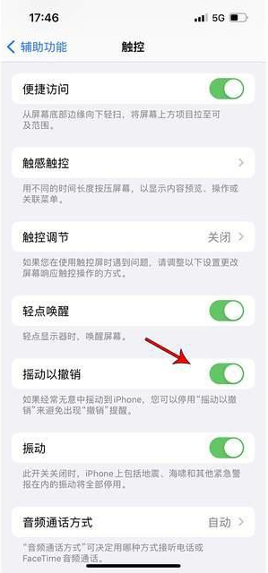 嘉积镇苹果手机维修分享iPhone手机如何设置摇一摇删除文字 